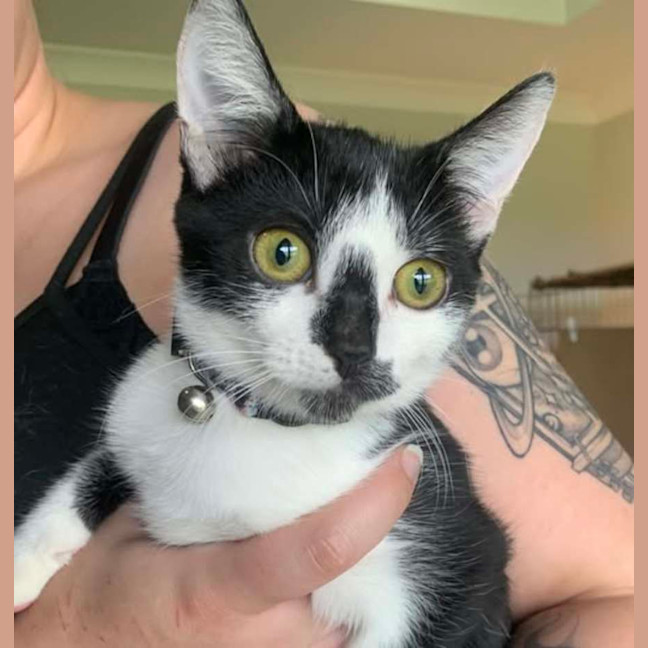 Photo of Siouxie
