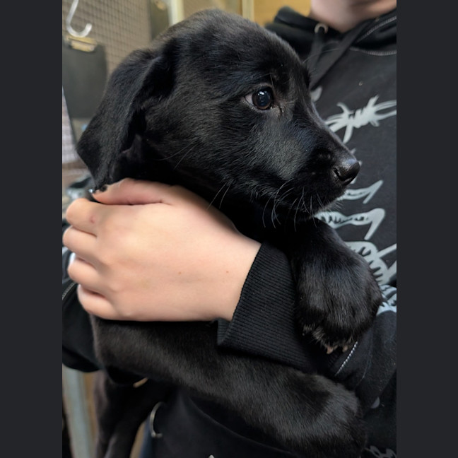 Photo of Lilly