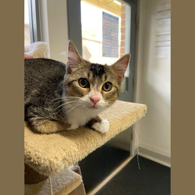 Photo of 🍤 Finkle 5898 🍤