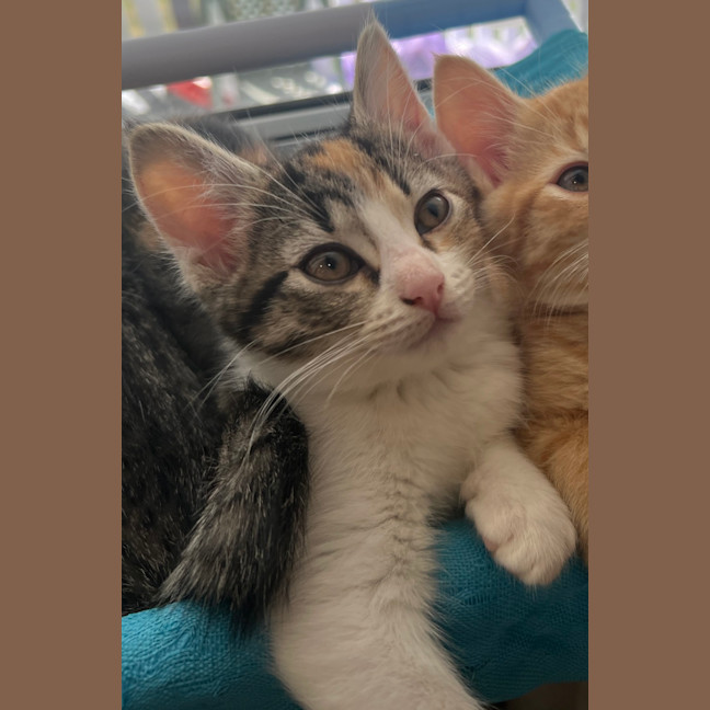 Photo of Kiki   Penelope