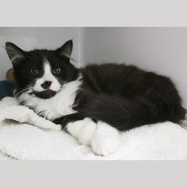 Photo of Arthur Stk012766