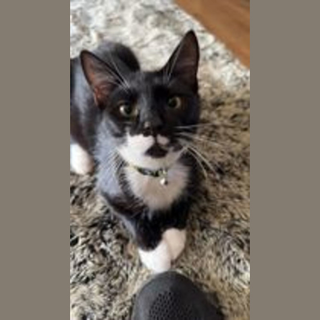 Photo of Taco