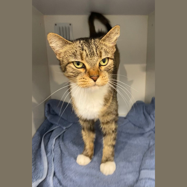 Photo of Josie
