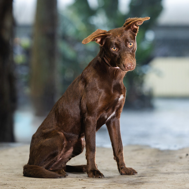 Photo of Missy