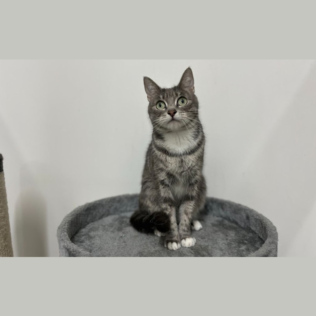 Photo of Eve