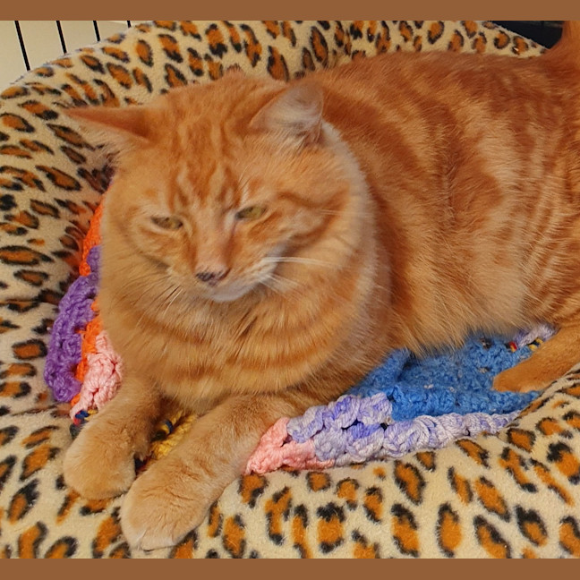 Photo of Jasper