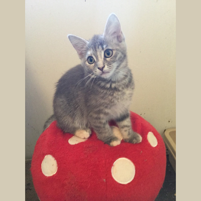 Photo of Isla