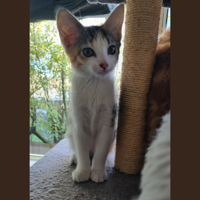 Photo of Sherbie