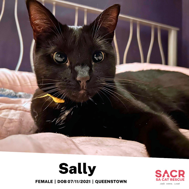 Photo of Sally