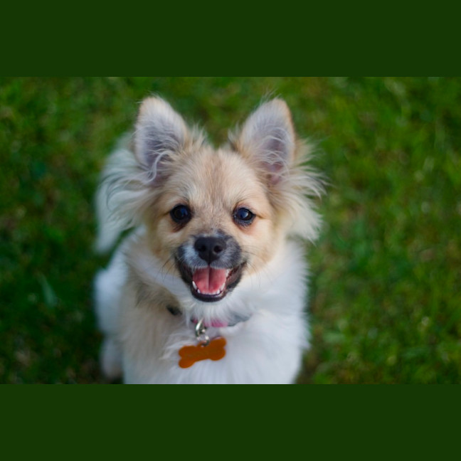 Photo of ☀️ Sonny ☀️