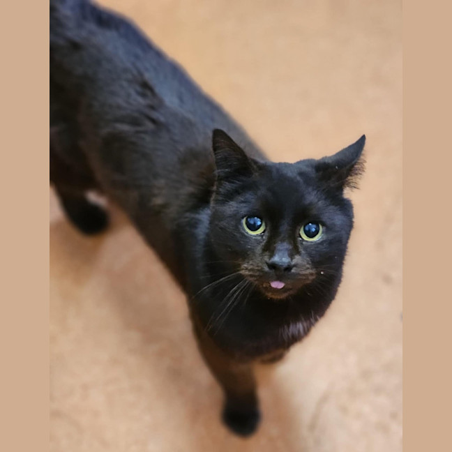 Photo of Sammy