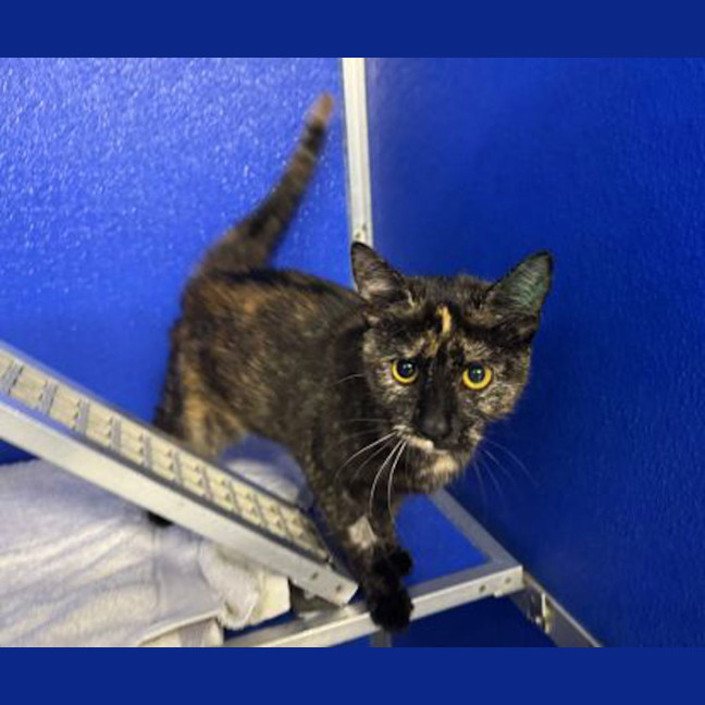 Photo of Meredith 