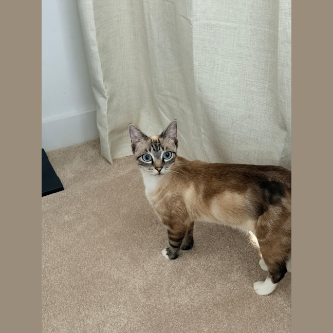 Photo of Pearl