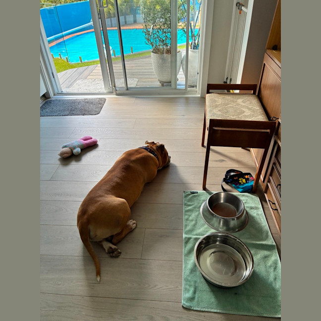 Photo of Coco