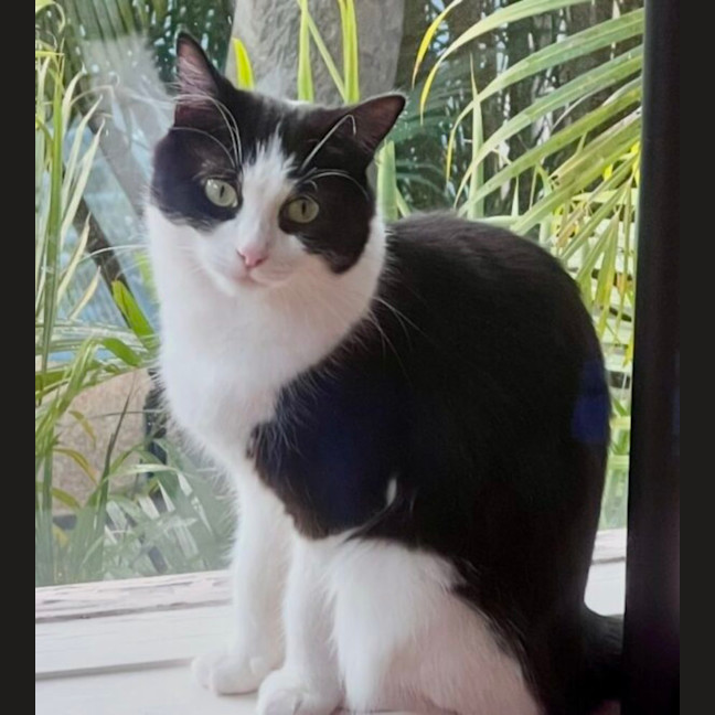 Photo of Suzie