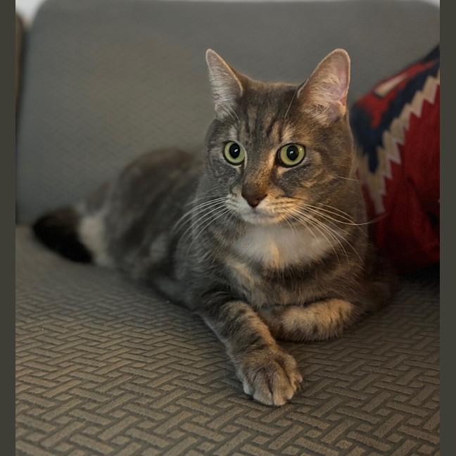 Photo of Alf