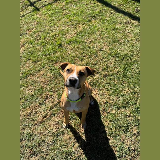 Photo of Mikey   Max