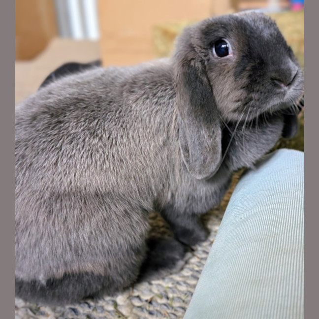 Photo of Louise