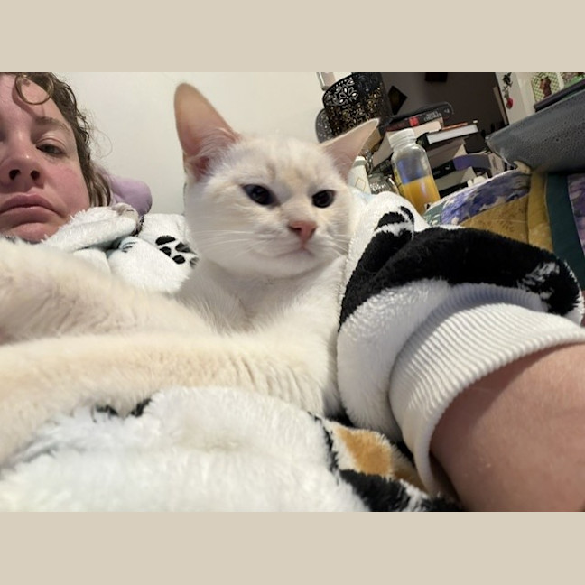 Photo of Milko