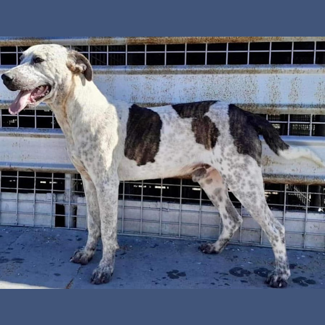 Photo of Anita Wiglet