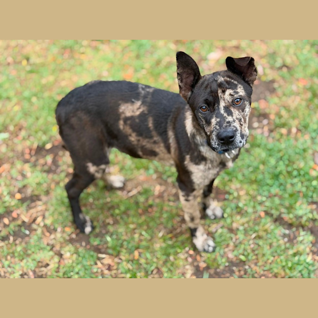 Photo of Hattie