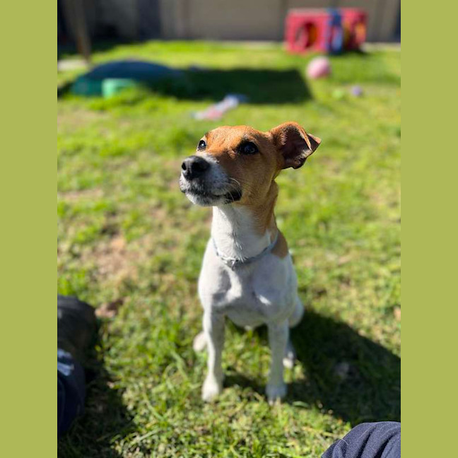 Photo of Chevy