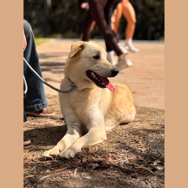 Photo of Atlas