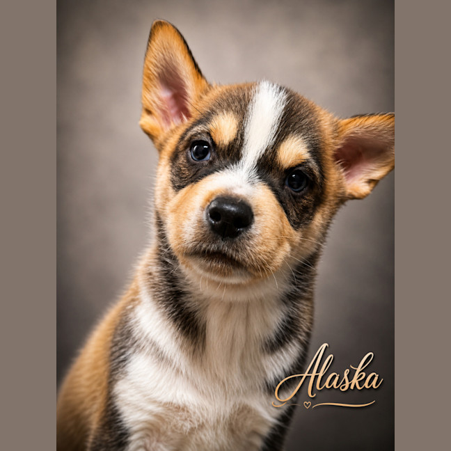 Photo of Alaska