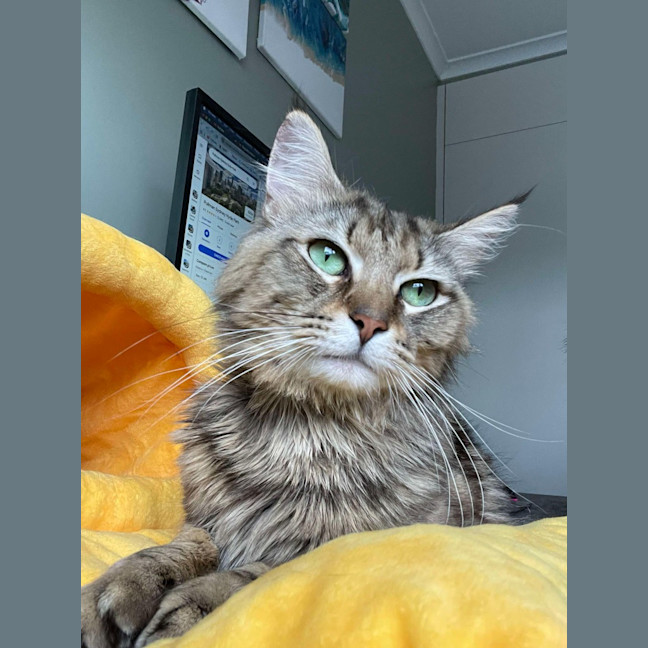 Photo of Winston