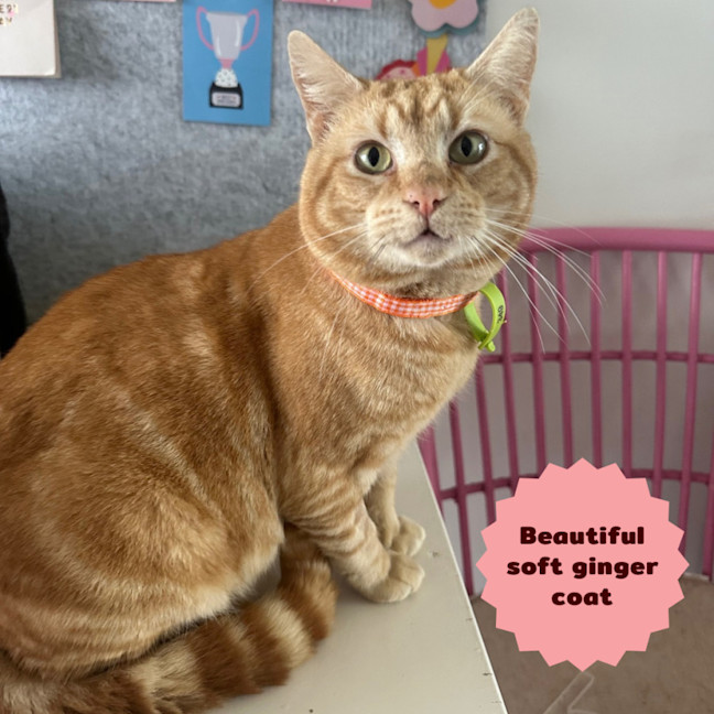 Photo of 🔥Slick Rick🔥