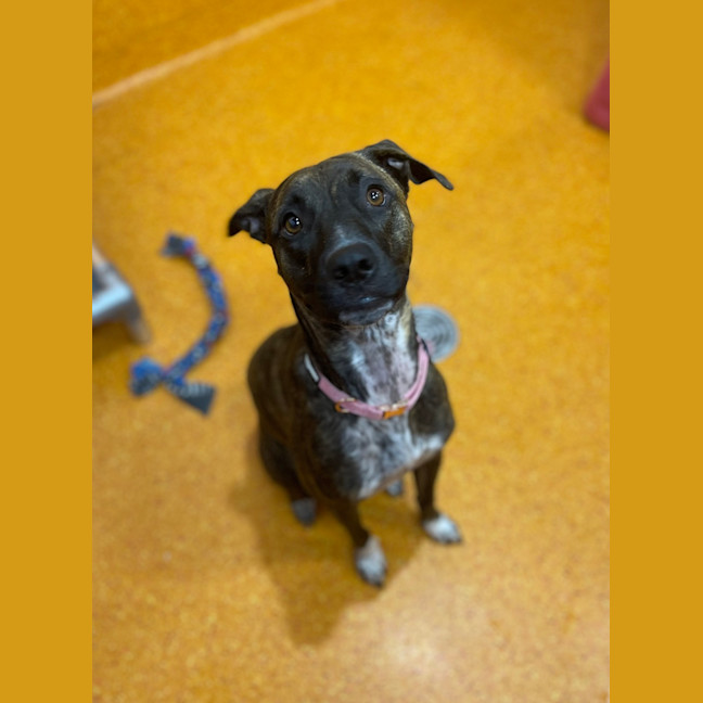 Photo of Winnie