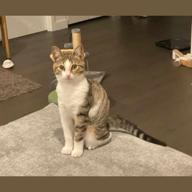 Photo of Mimi