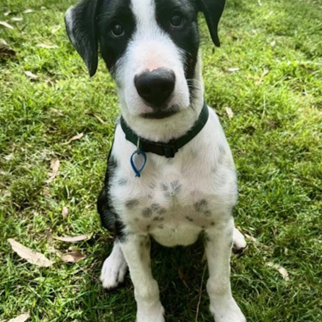 Photo of Thor