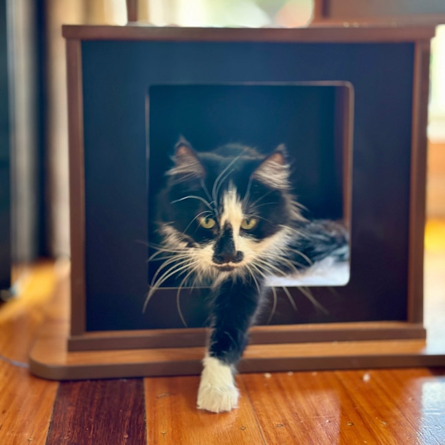 Photo of Bonnie