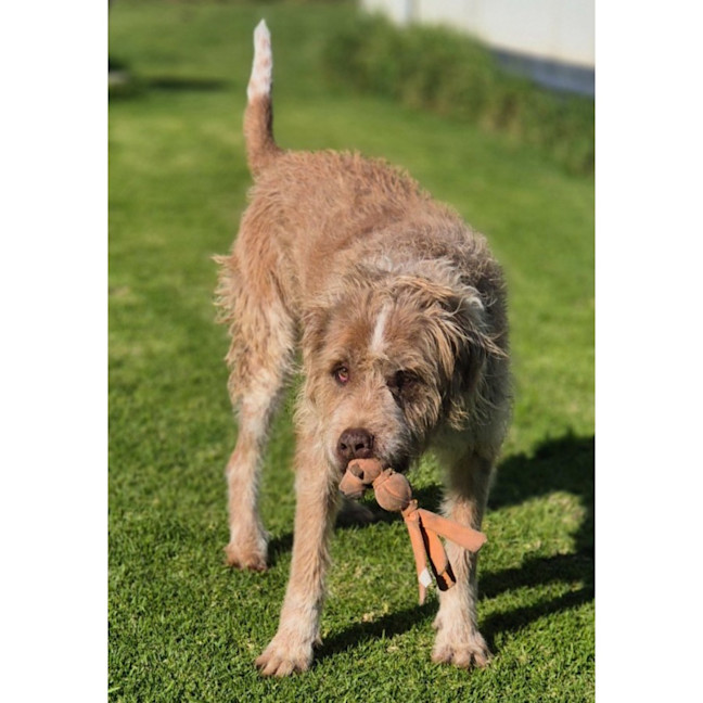 Photo of Billy