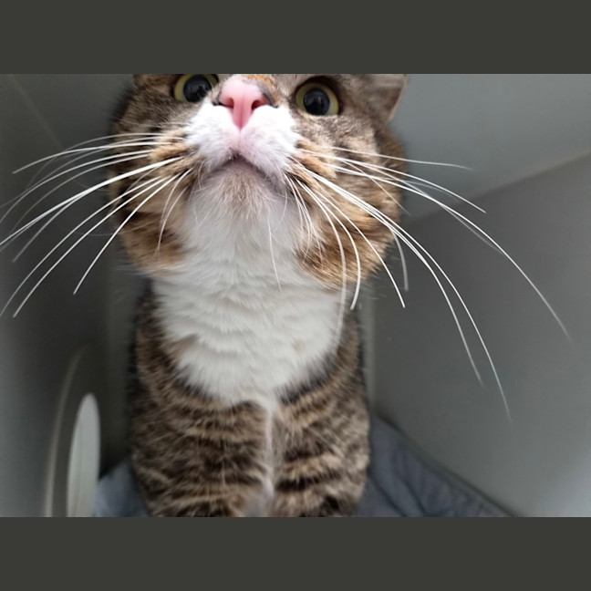 Photo of Alvin