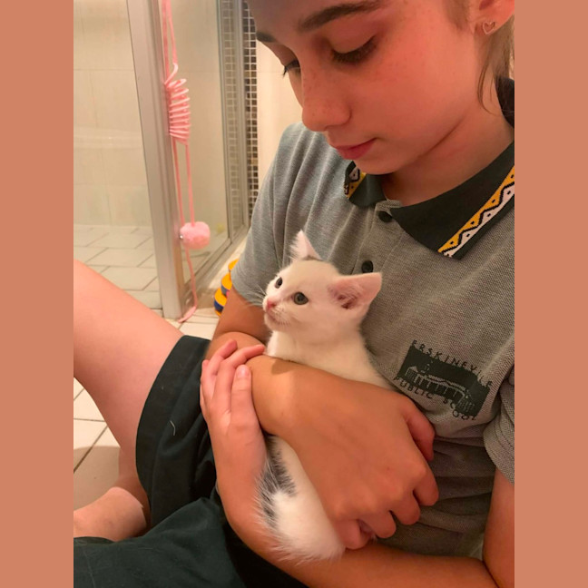 Photo of Brindabella