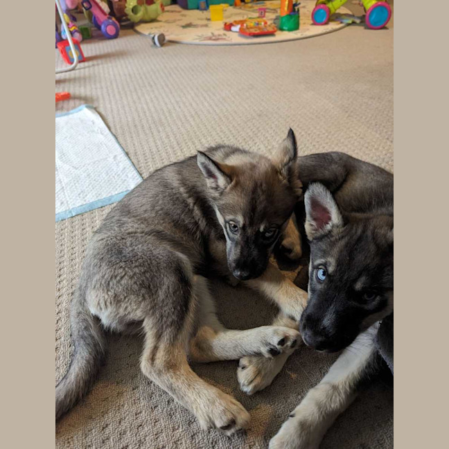 Photo of Judd Nelson