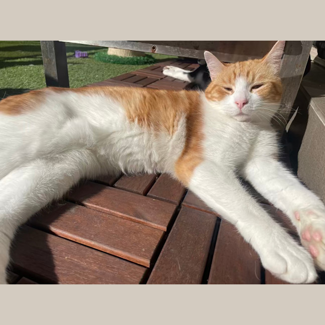 Photo of Fred