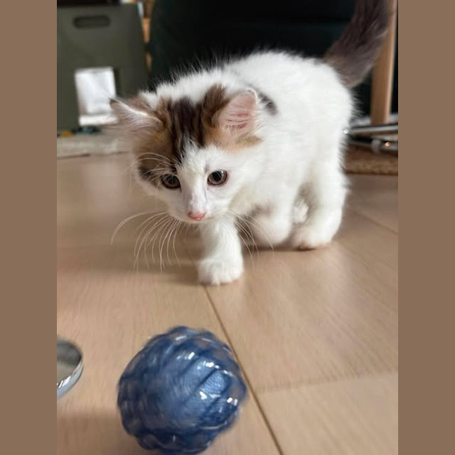 Photo of Milly