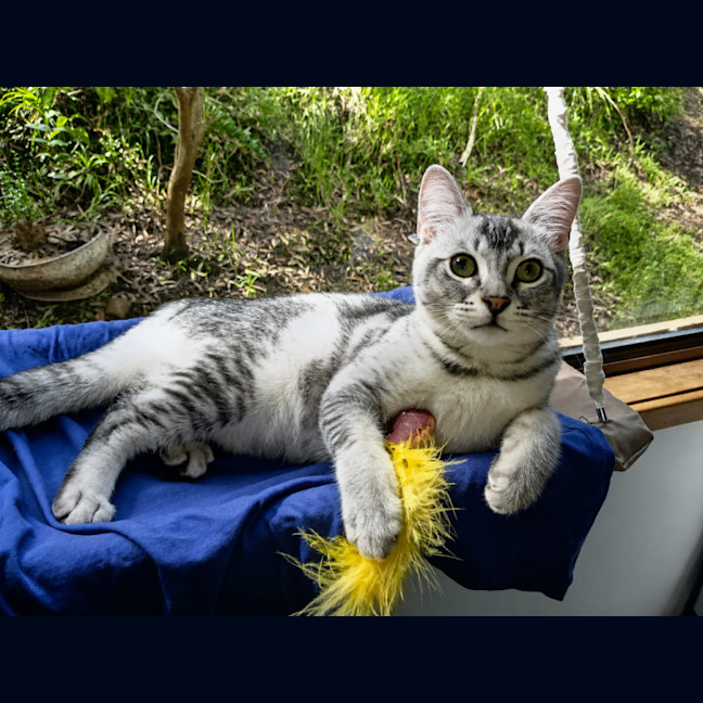Photo of Bounty