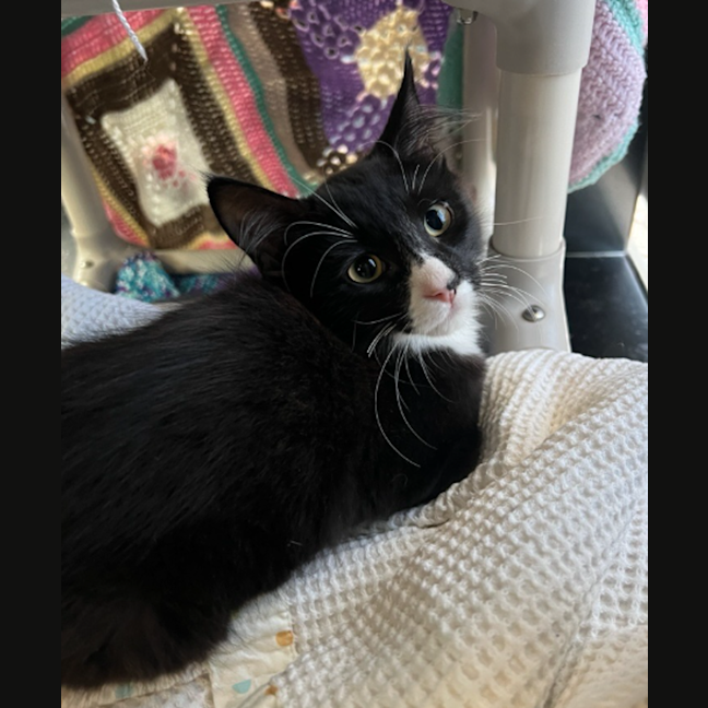 Photo of Cappuccino