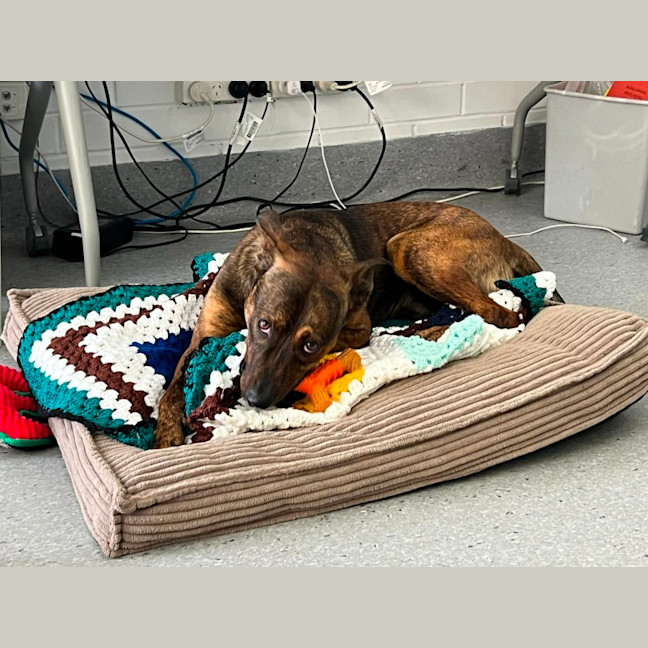 Photo of Toohey! 🍻