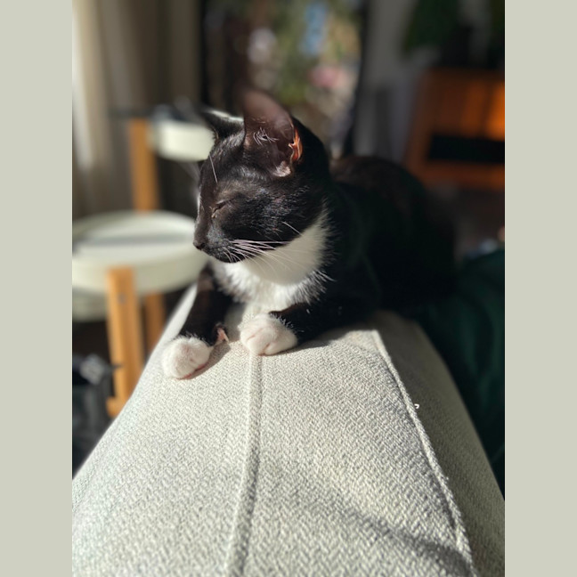 Photo of Sir Stanley