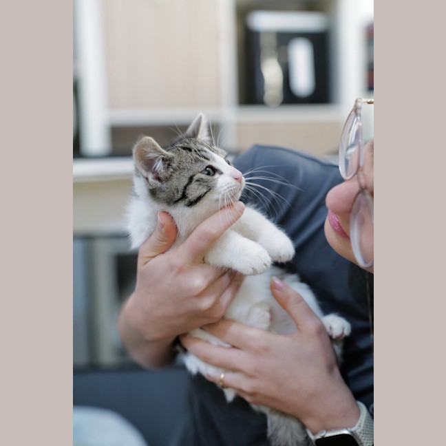 Photo of Digory