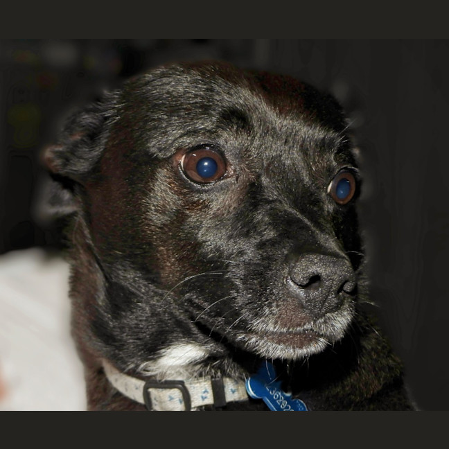 Photo of Jeff (Was Jet)