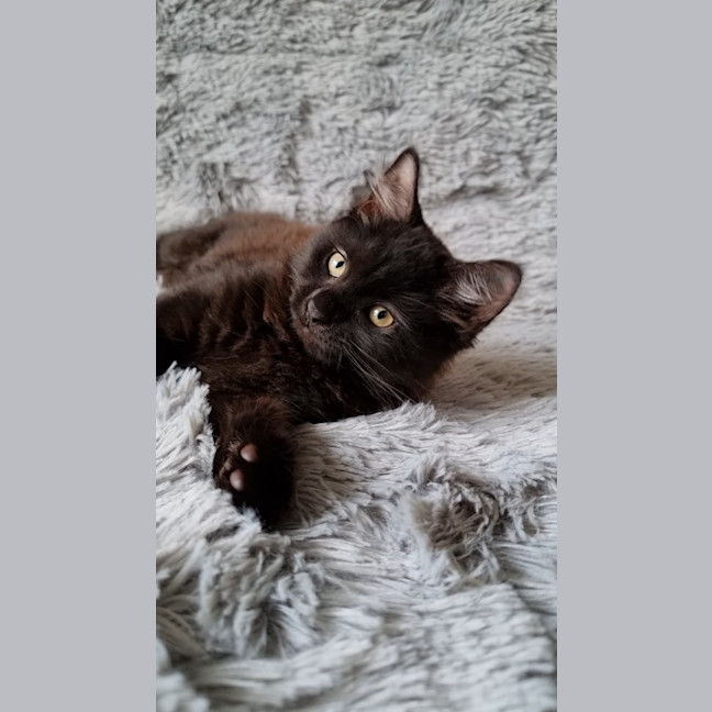 Photo of Athena