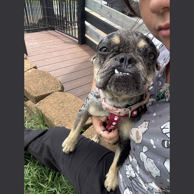 Photo of Cleo