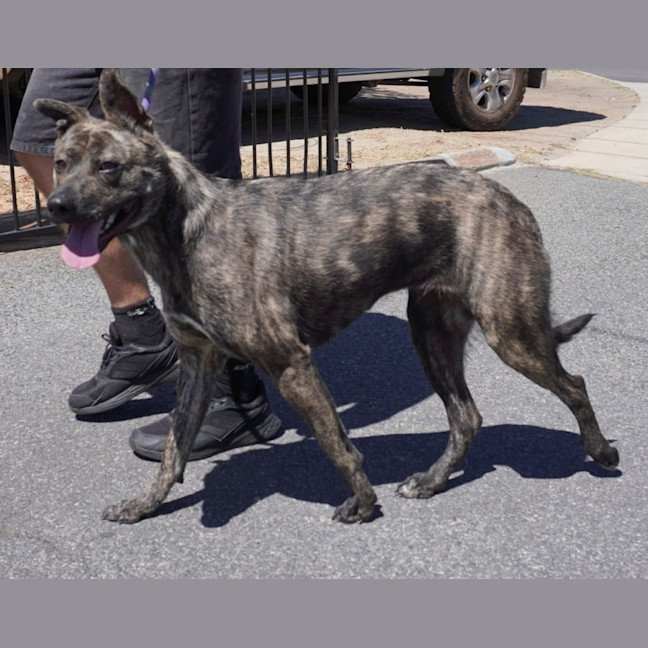 Photo of Nyx