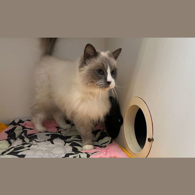 Photo of Mr. Ramekin 